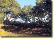 photo of hillcrest painting