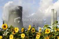 Image of a coal fueled power plant with contrasting sunflowers